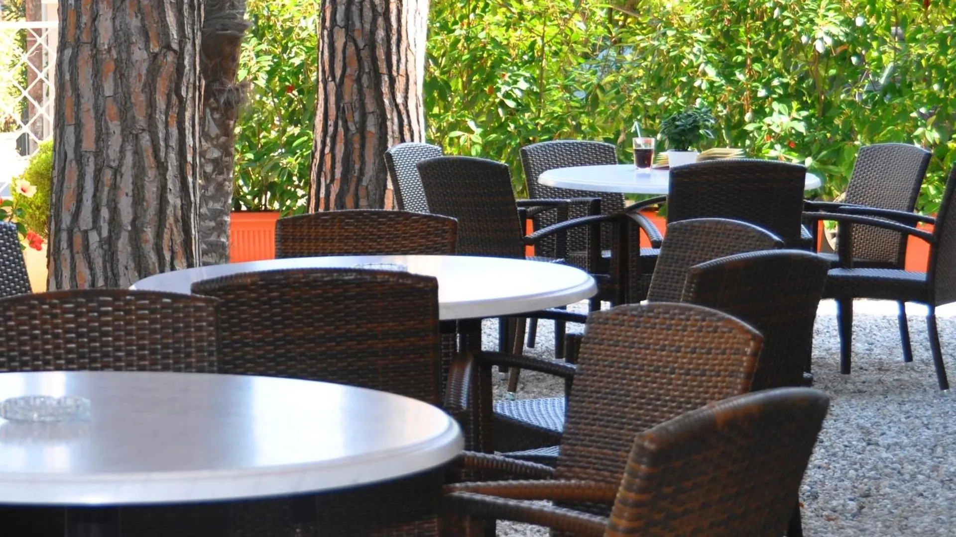 Hotel Azzurra Marina di Pietrasanta